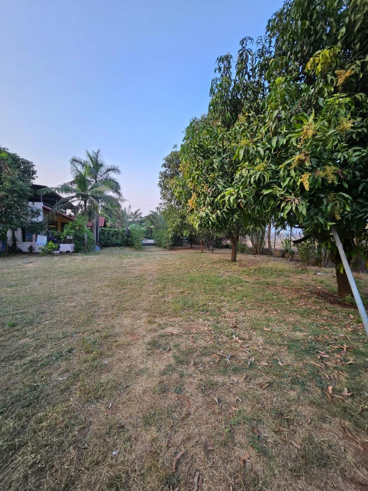 Patil'S Greenwoods Farmhouse Navi Mumbai Exterior foto